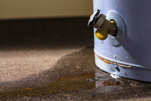 Best Water damage restoration near me  in Brentwood, MD