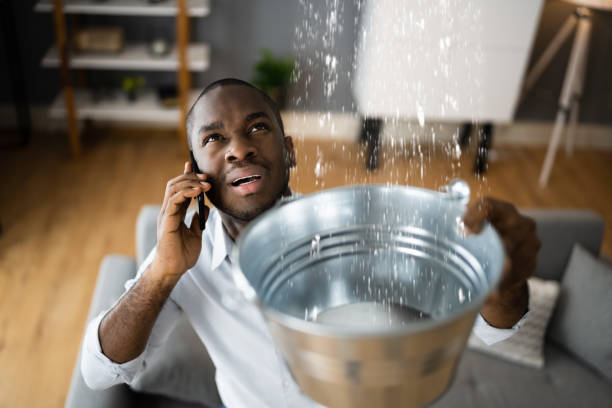 Best Professional water damage repair  in Brentwood, MD