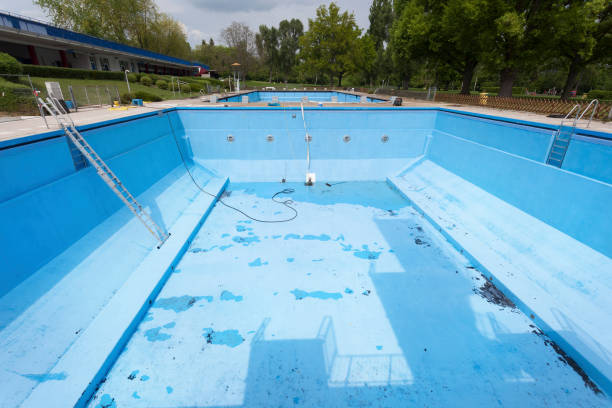 Best Flood damage cleanup  in Brentwood, MD