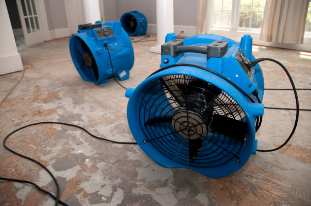 Best 24/7 water damage repair  in Brentwood, MD