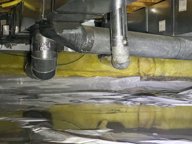 Best Carpet water damage restoration  in Brentwood, MD
