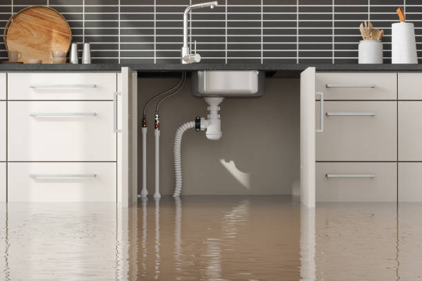 Best Water damage restoration services  in Brentwood, MD