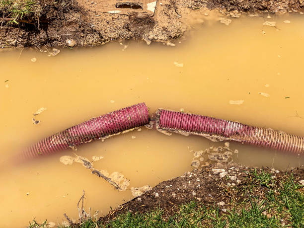 Best Water damage restoration insurance claims  in Brentwood, MD